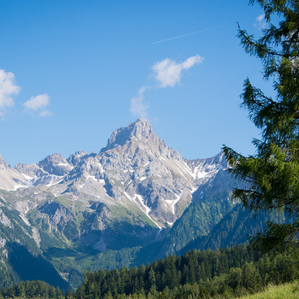 Hour Live Zoom Astrology Reading