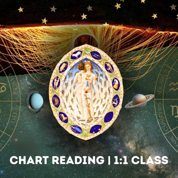 1:1 Live Zoom 60min Astrology Class: Chart Reading