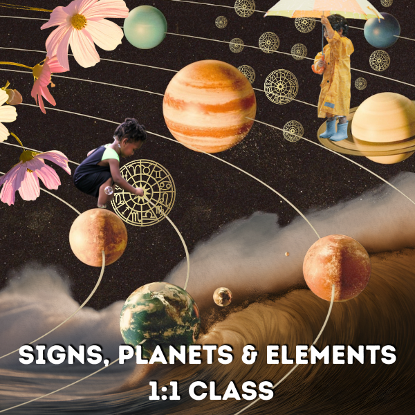 1:1 Live Zoom 90min Astrology Class: The Signs, Elements, & Planets