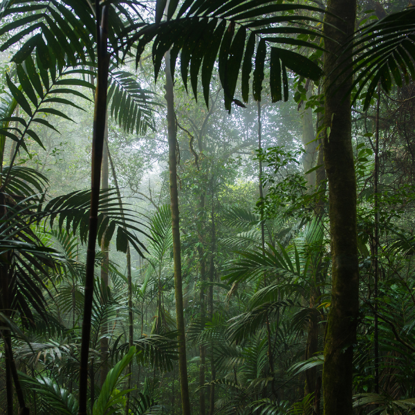 AstroBalance 3-Session Sequence