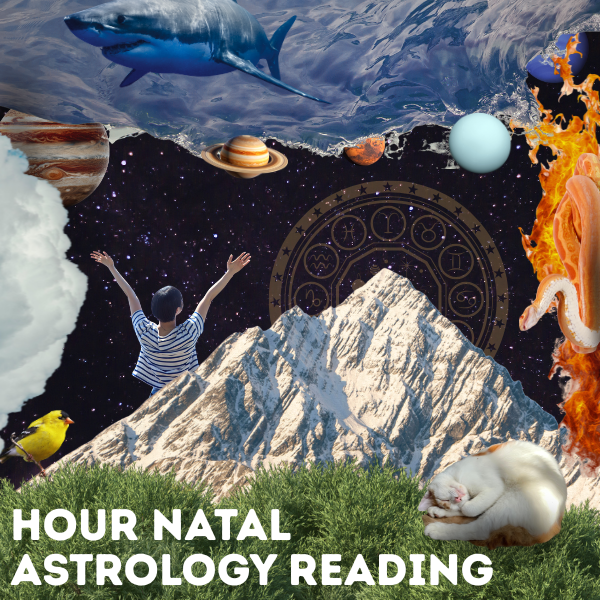 Hour Live Zoom Astrology Reading