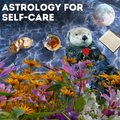 Astrology For Self-Care | Hour Live Zoom Astrology Reading
